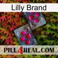 Lilly Brand 15